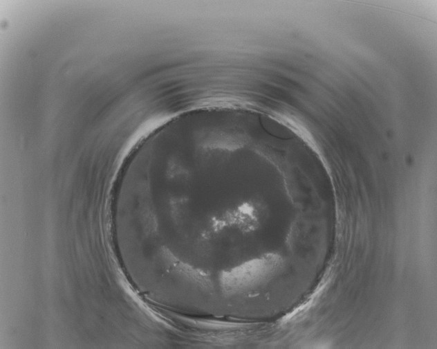 X0000061761045200512091656