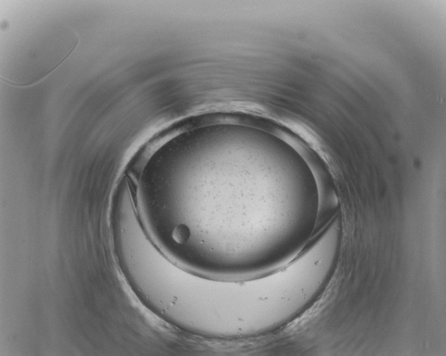 X0000061761046200512091656