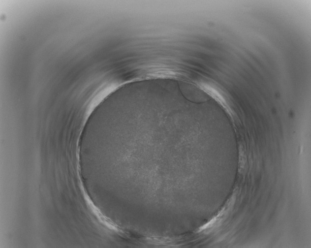 X0000061761047200512091656