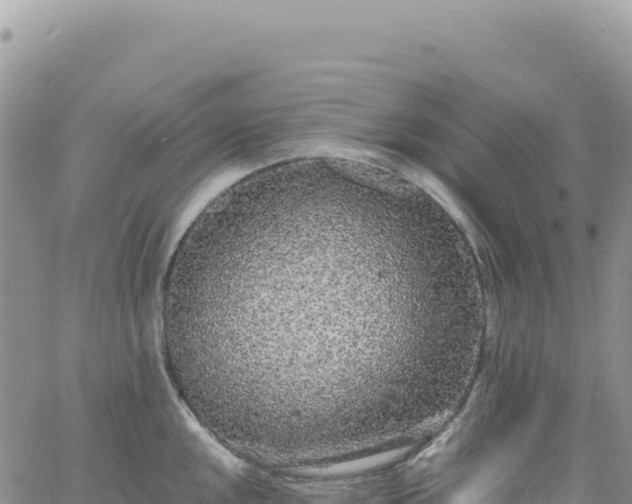 X0000061761048200512091656