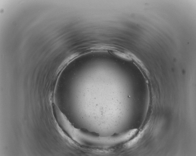 X0000061761049200512091656