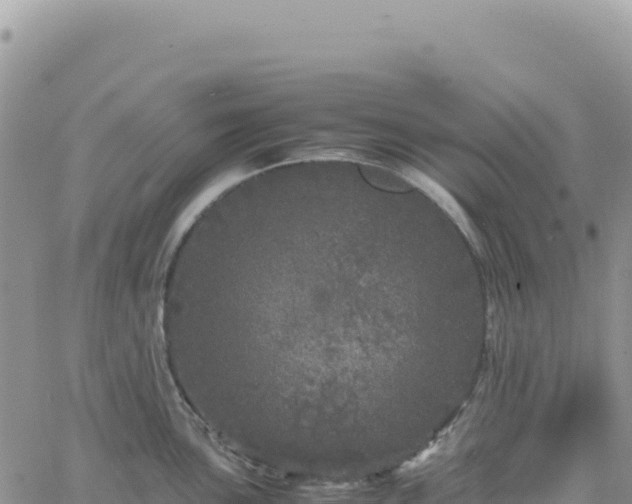 X0000061761051200512091656