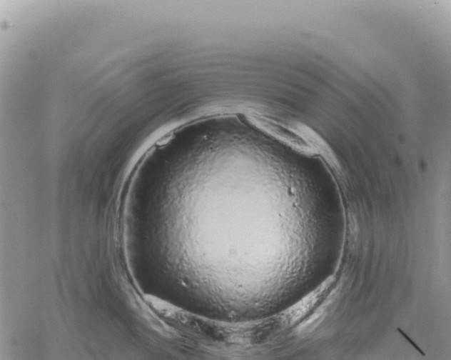 X0000061761052200512091656