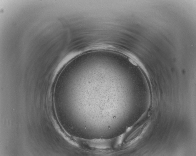 X0000061761053200512091656