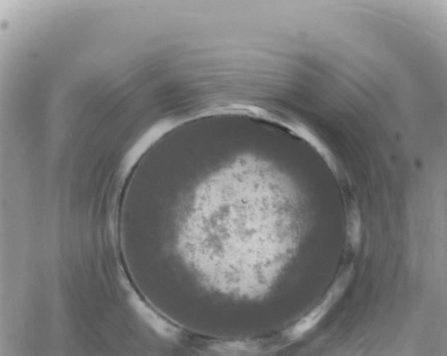 X0000061761054200512091656