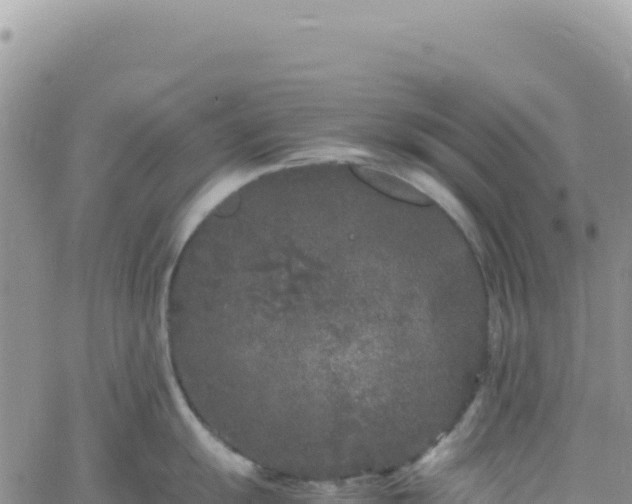 X0000061761055200512091656