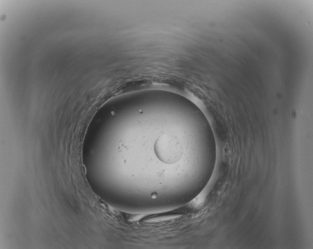 X0000061761057200512091655