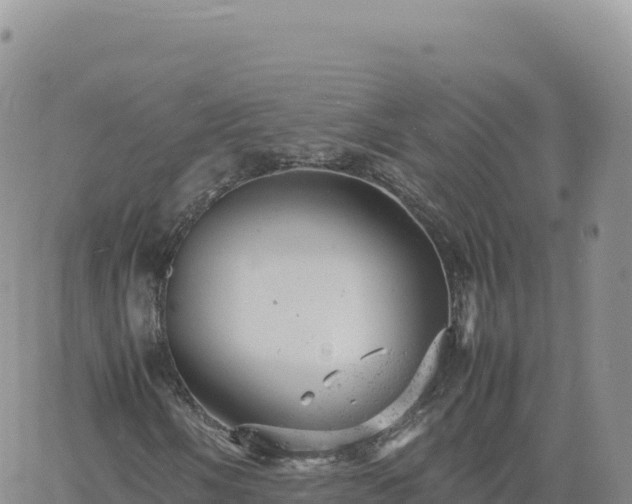 X0000061761058200512091655