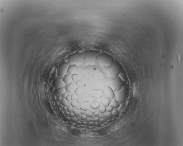 X0000061761059200512091655