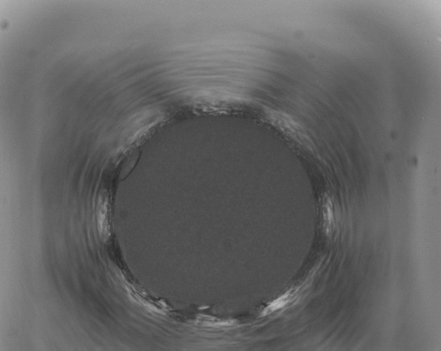 X0000061761060200512091655