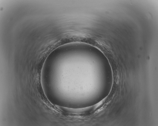 X0000061761061200512091655