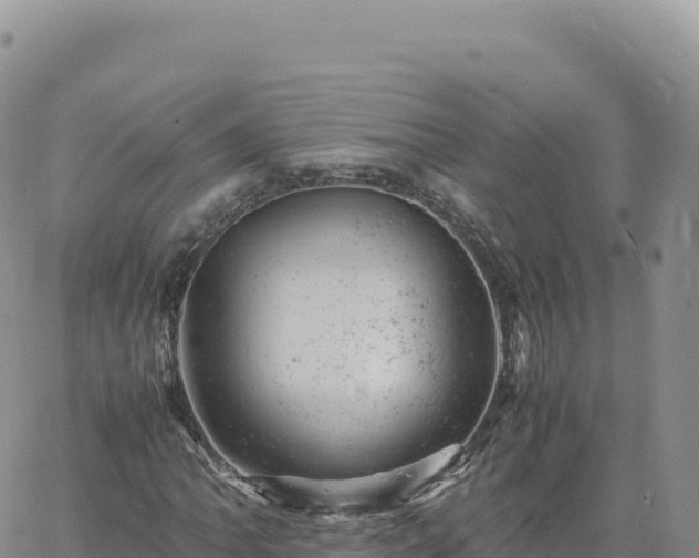 X0000061761062200512091655