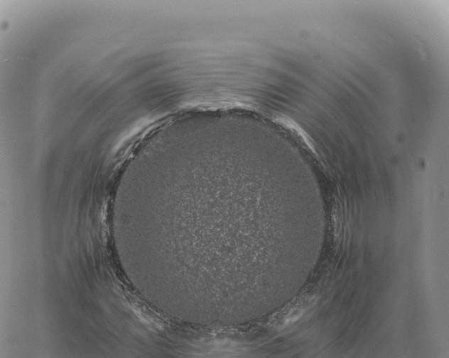 X0000061761064200512091655