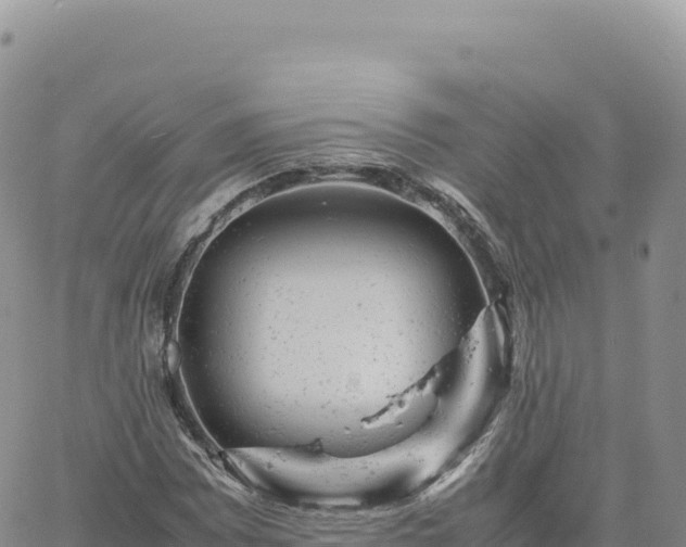 X0000061761065200512091655