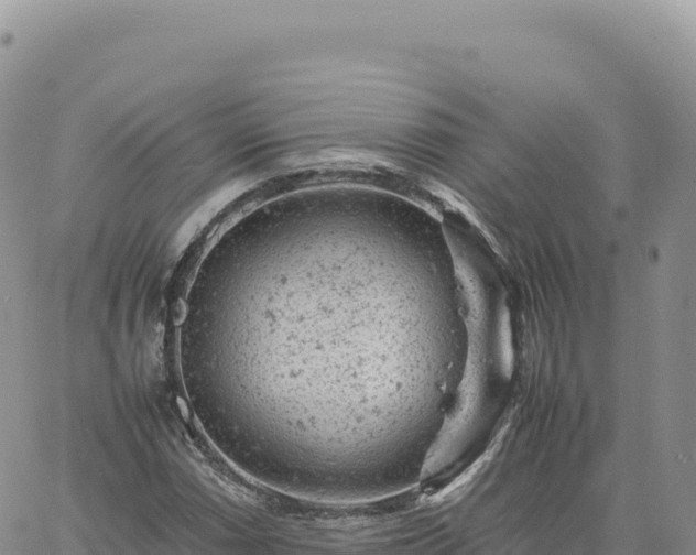 X0000061761066200512091655