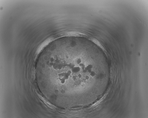 X0000061761067200512091655