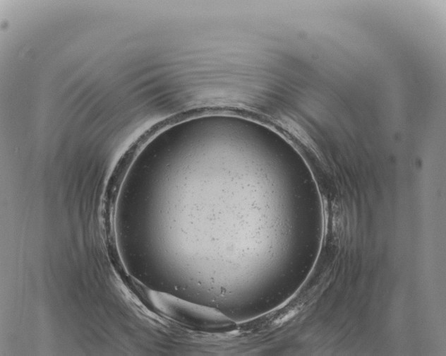 X0000061761068200512091655