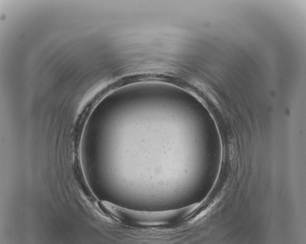 X0000061761069200512091655