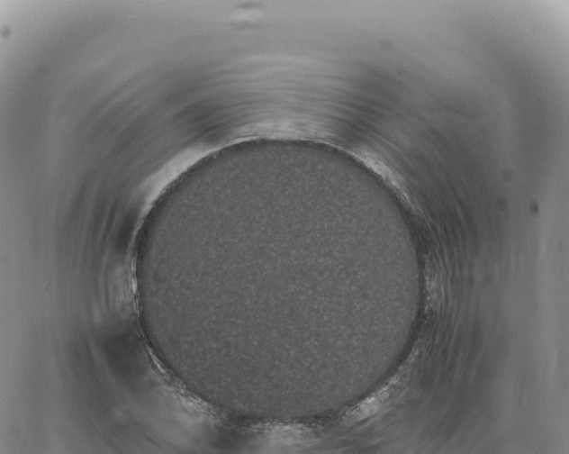 X0000061761070200512091655