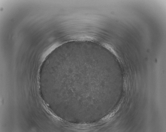 X0000061761071200512091655