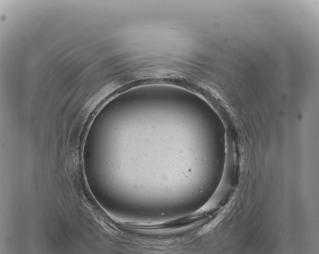 X0000061761073200512091655