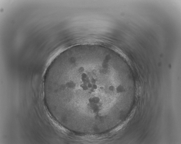 X0000061761075200512091655