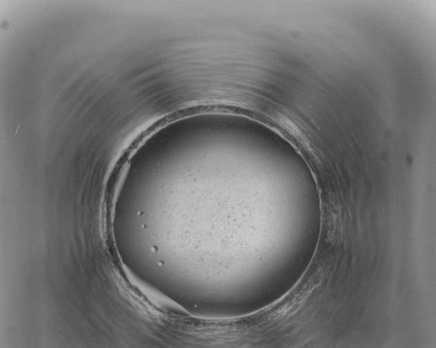 X0000061761076200512091655