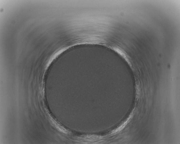 X0000061761077200512091655