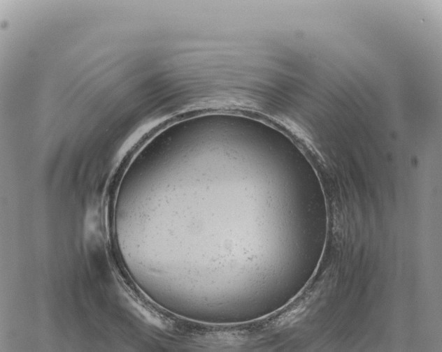 X0000061761078200512091655