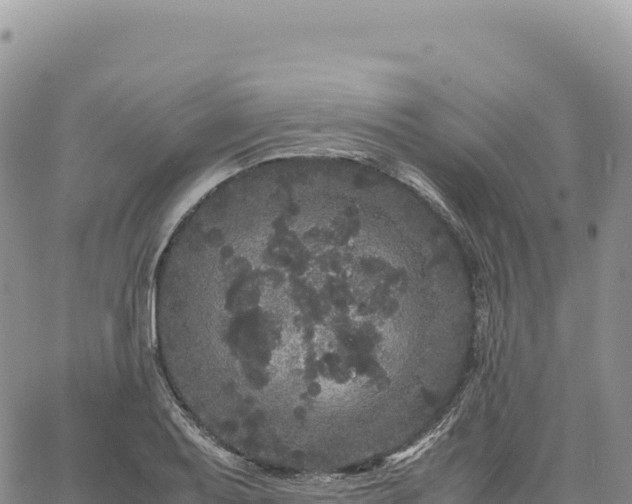 X0000061761079200512091655