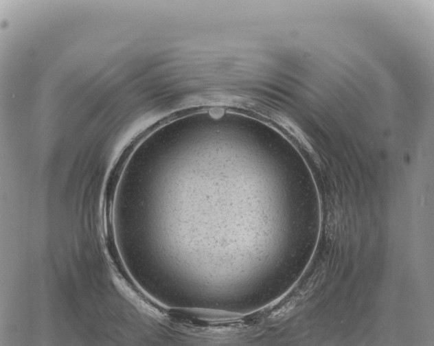 X0000061761080200512091655