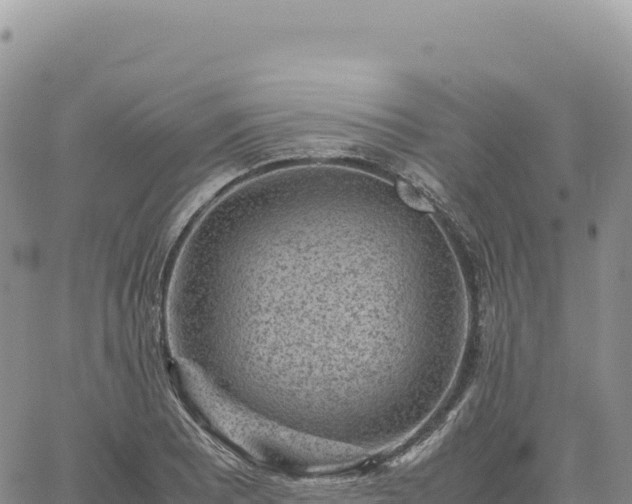 X0000061761081200512091655