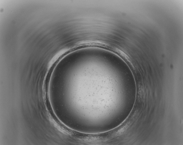 X0000061761082200512091655