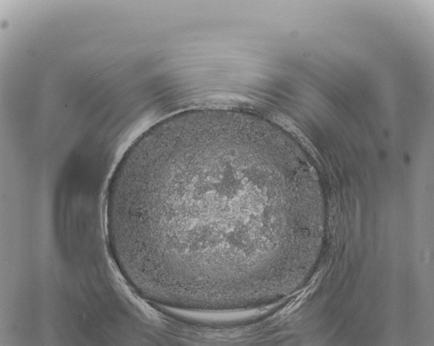 X0000061761083200512091655