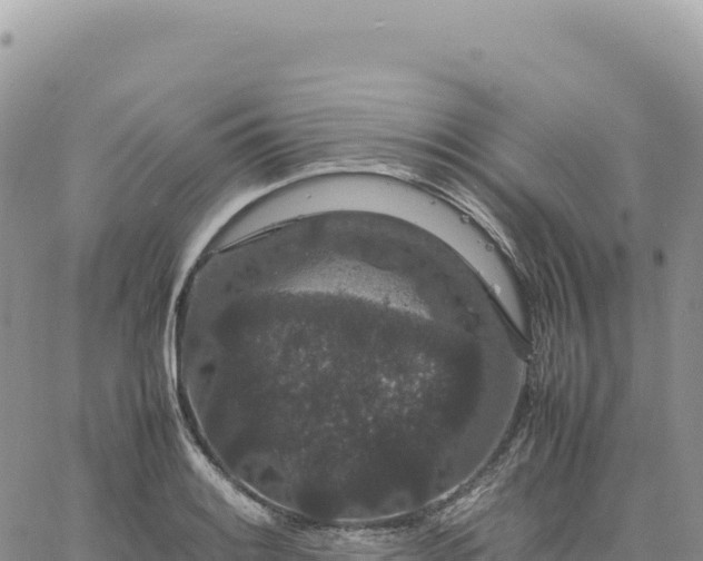 X0000061761084200512091655