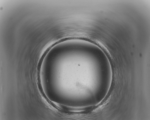 X0000061761085200512091655