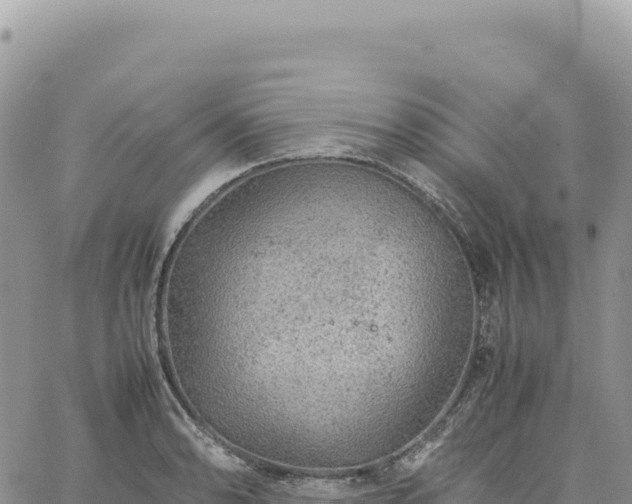 X0000061761086200512091655