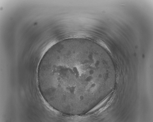 X0000061761087200512091655