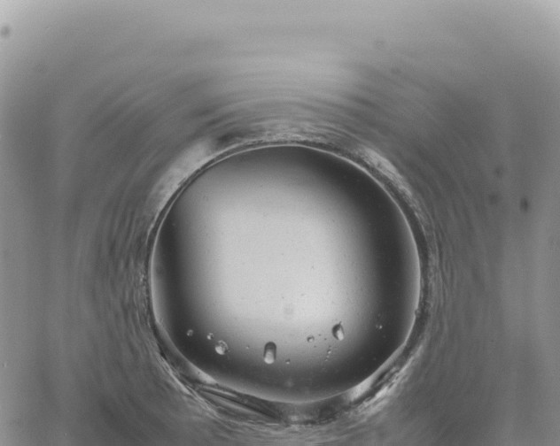 X0000061761089200512091655