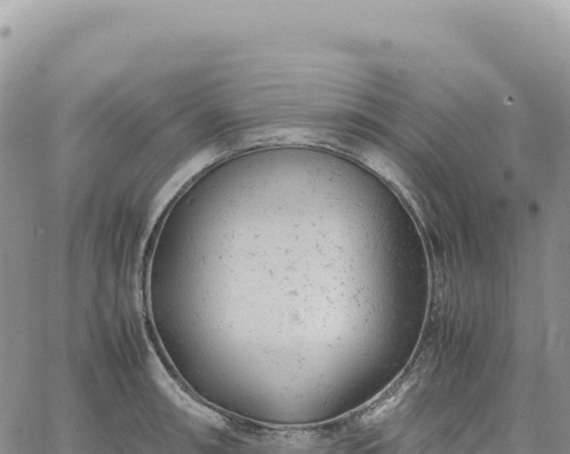 X0000061761090200512091655