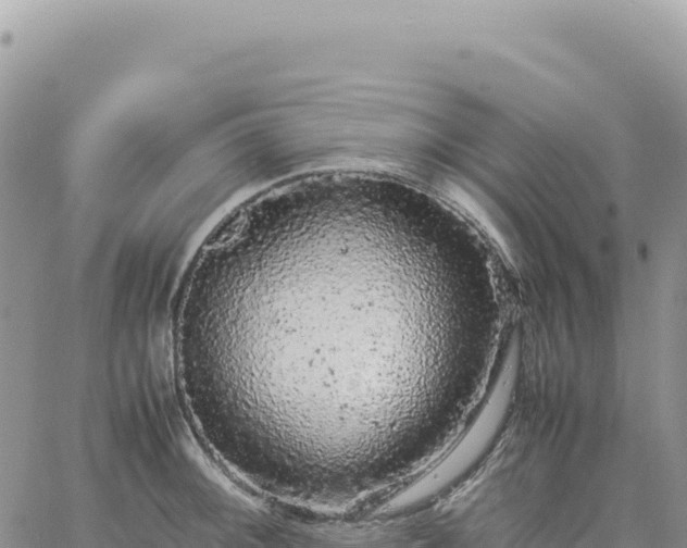 X0000061761092200512091655