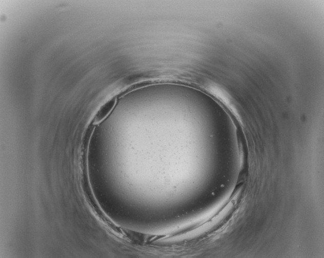 X0000061761093200512091655