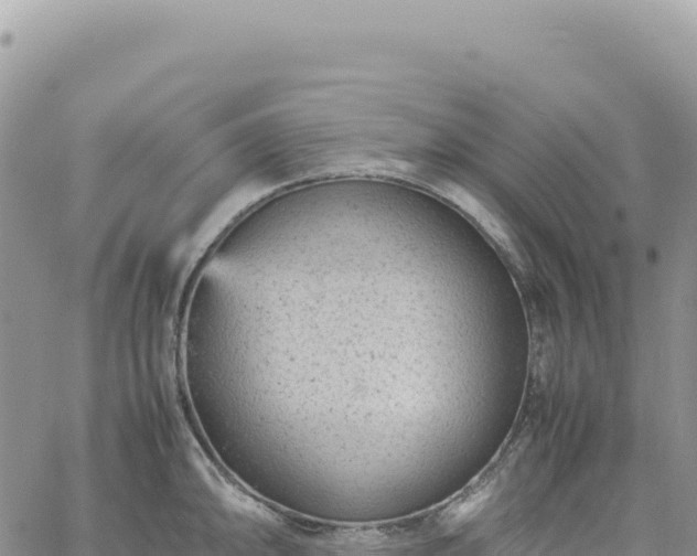 X0000061761094200512091655