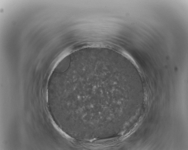 X0000061761095200512091655