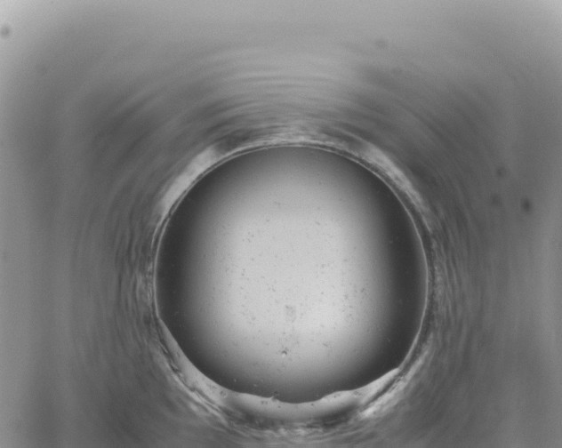 X0000061761097200512091655