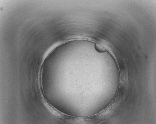 X0000061761098200512091655