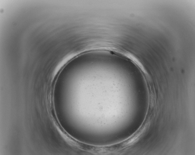 X0000061761101200512091655