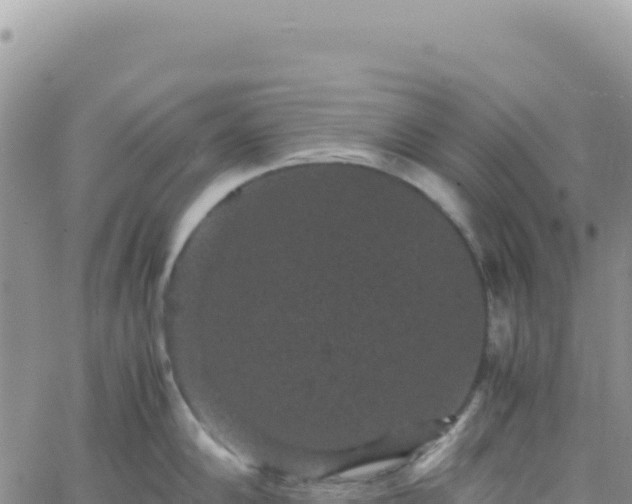 X0000061761102200512091655