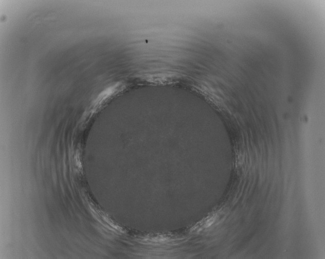 X0000061761106200512091654