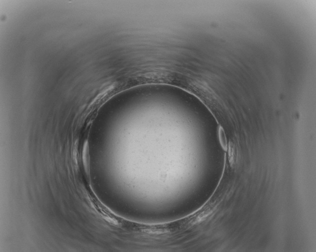 X0000061761107200512091654